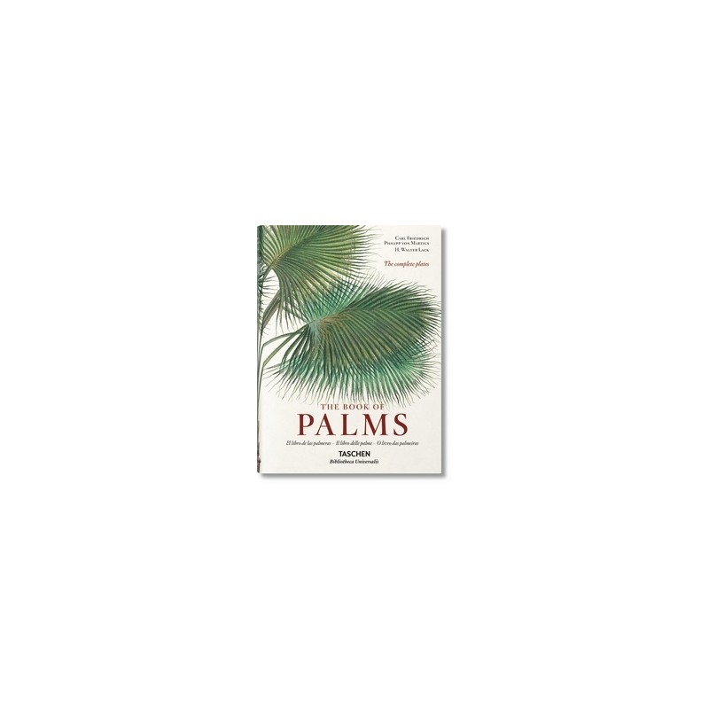 von Martius. El libro de las palmeras
