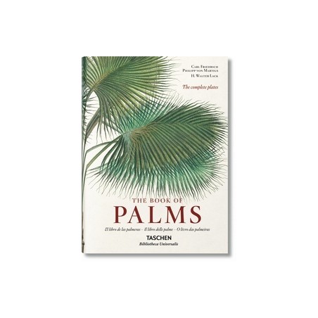 von Martius. El libro de las palmeras