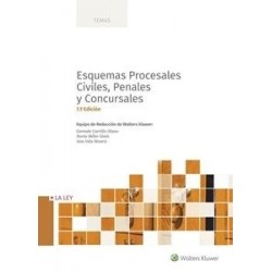 E-Book Esquemas Procesales Civiles, Penales y Concursales - 7ed