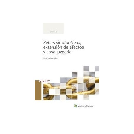 E-Book Rebus Sic Stantibus, Extensión de Efectos y Cosa Juzgada