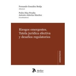Riesgos Emergentes Tutela Juridica Efectiva y Desafios Regulatorios