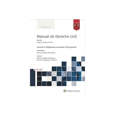Manual de derecho civil Vol.2 "Obligaciones y contratos. Teoría general (Papel + Digital)"