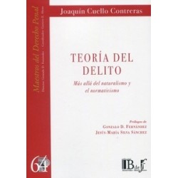 Teoría del delito. Más allá del naturalismo y el normativismo