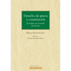 Derecho de gracia y constitución. El indulto en el estado de derecho (Papel + Ebook)