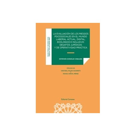 La evaluación de los riesgos psicosociales en el mundo laboral actual, digital, ecológico e inclusivo "Desafíos jurídicos y de 