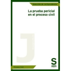 La prueba pericial en el proceso civil