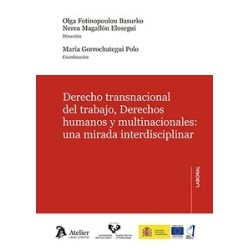 Derecho transnacional del trabajo, derechos humanos y multinacionales: una mirada interdisciplinar