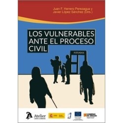 Los Vulnerables ante el Proceso Civil