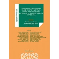 Viabilidad de las empresas, mantenimiento del empleo y medidad de flexibilidad externa en la...