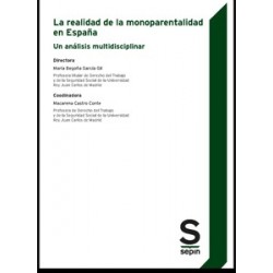 La realidad de la monoparentalidad en España "Un análisis multidisciplinar"