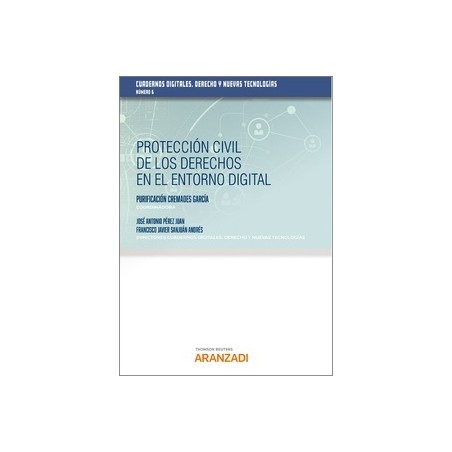 Protección civil de los derechos en el entorno digital (Papel + Ebook)