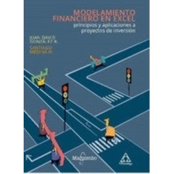 Modelamiento Financiero en Excel: Principios y Aplicaciones