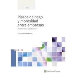 Plazos de pago y morosidad entre empresas "Problemática y regulación"