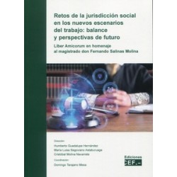 Retos de la jurisdicción social en los nuevos escenarios del trabajo: balance y perspectivas de...