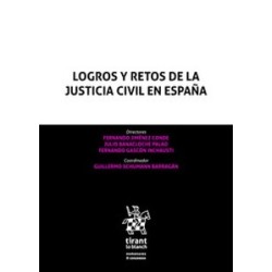 Logros y retos de la justicia civil en España