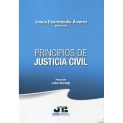 Principios de justicia civil