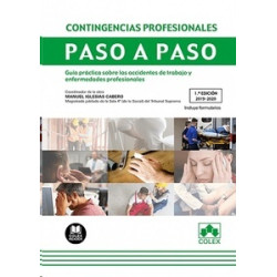Contingencias Profesionales. Paso a Paso "Guía Práctica sobre los Accidentes de Trabajo y...