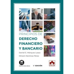Principios de derecho financiero y bancario. Aspectos mercantiles y tributarios (Papel + Ebook)
