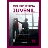 Delincuencia Juvenil: Temas para su Estudio (Papel + Ebook)