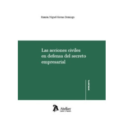 Las acciones civiles en defensa del secreto empresarial