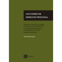 Lecciones de Derecho Procesal "Proceso Civi: Ejecución, Medidas Cautelares y Procesos Especiales....