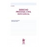 Derecho Procesal Civil. Parte Especial 2023 (Papel + Ebook)