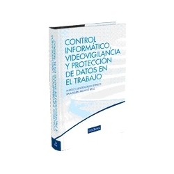 Control Informático, Videovigilancia y Protección de Datos en el Trabajo