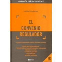 El Convenio Regulador -Actualización On Line- "La Regulación Convencional de los Efectos de la...