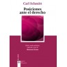 Posiciones ante el Derecho