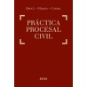 PRÁCTICA PROCESAL CIVIL (Formato Digital Actualizable)