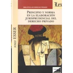Principio y Norma en la Elaboración Jurisprudencial del Derecho Privado