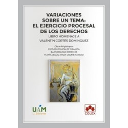 Variaciones sobre un tema: el ejercicio procesal de los derechos "Libro homenaje a Valentín Cortés"