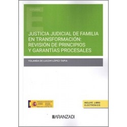 Justicia judicial de familia en transformación: Revisión de principios y garantías procesales