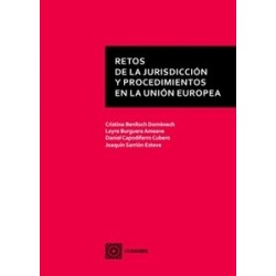 Retos de la jurisdicción y procedimientos en la Unión Europea