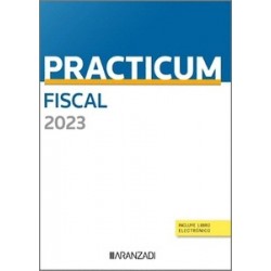 Practicum Fiscal 2023