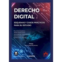 Derecho digital. Esquemas y casos prácticos para su estudio