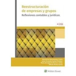 Reestructuración de Empresas y Grupos "Reflexiones Contables y Jurídicas"