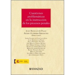 Cuestiones problemáticas en la instrucción de los procesos penales (Papel + Ebook)
