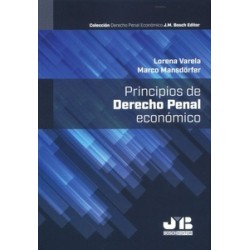 Principios de Derecho Penal Económico