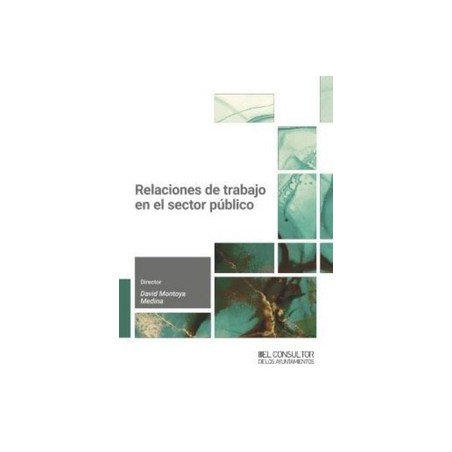 Relaciones de trabajo en el sector público