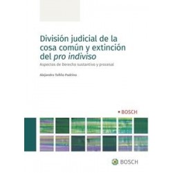 División judicial de la cosa común y extinción del pro indiviso