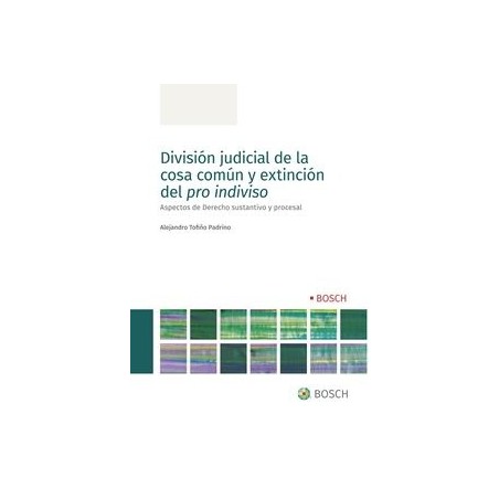 División judicial de la cosa común y extinción del pro indiviso