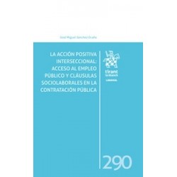 La acción positiva interseccional: acceso al empleo público "cláusulas sociolaborales en la...