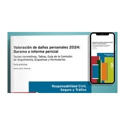 Formato Digital: Valoración de daños personales 2024: Baremo e informe pericial