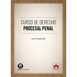 Curso de Derecho Procesal Penal