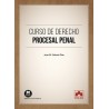 Curso de Derecho Procesal Penal