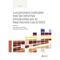 Los procesos judiciales tras las reformas introducidas por el Real Decreto-Ley 6/2023