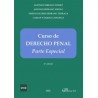 Curso de Derecho Penal. Parte Especial 2021