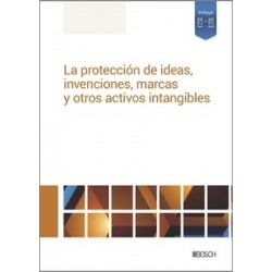 La protección de ideas, invenciones, marcas y otros activos intangibles.