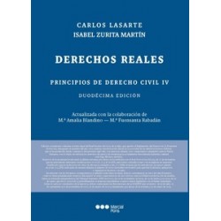 Principios de Derecho Civil. Tomo IV. Derechos reales 2024